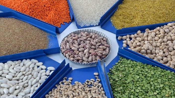 Hububat, bakliyat ve yağlı tohumlarda ihracat 8 milyar doları geçti