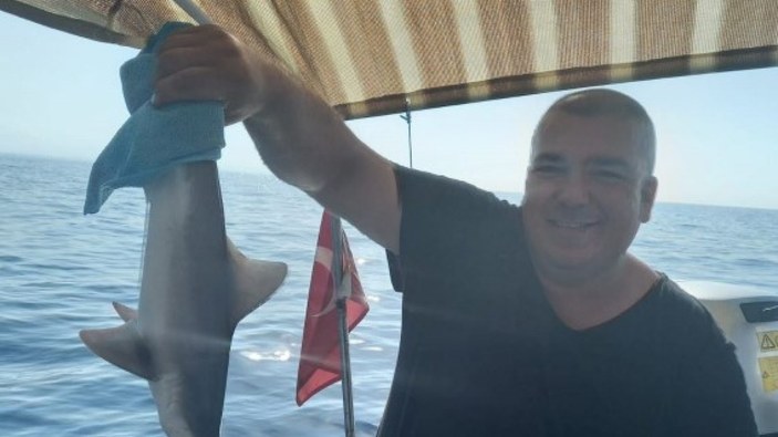 Antalya'da bir balıkçının ağına yavru köpek balığı takıldı