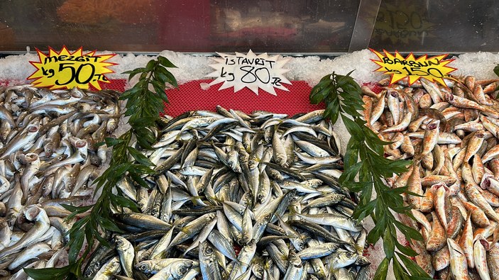 Düzce'de havalar ısınınca balık fiyatları da düştü