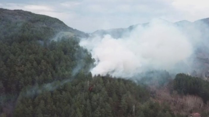 Kastamonu'da yol kenarına atılan sigara izmariti ormanlık alanda yangın çıkardı