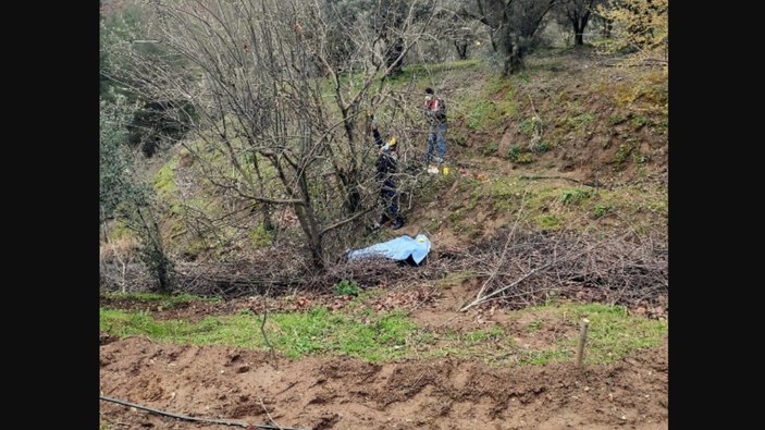 Manisa'da yaşlı adam, budamak için çıktığı ağaçtan düşerek öldü
