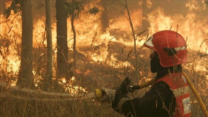 İspanya'da 7 gündür süren orman yangınında bin 600 hektarlık alan kül oldu