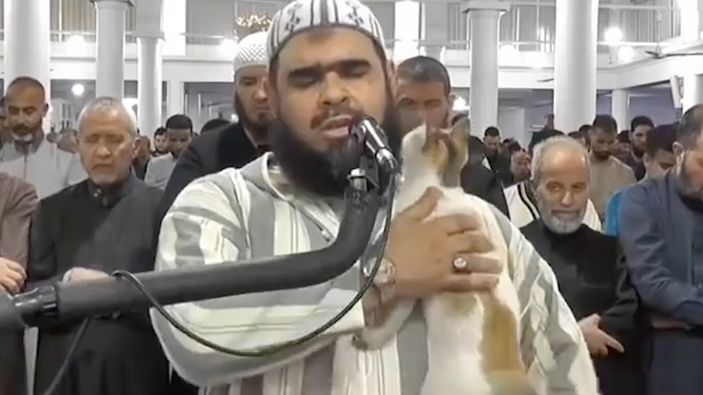 Cezayir'de bir kedi, namaz kıldıran imamın üzerine tırmandı