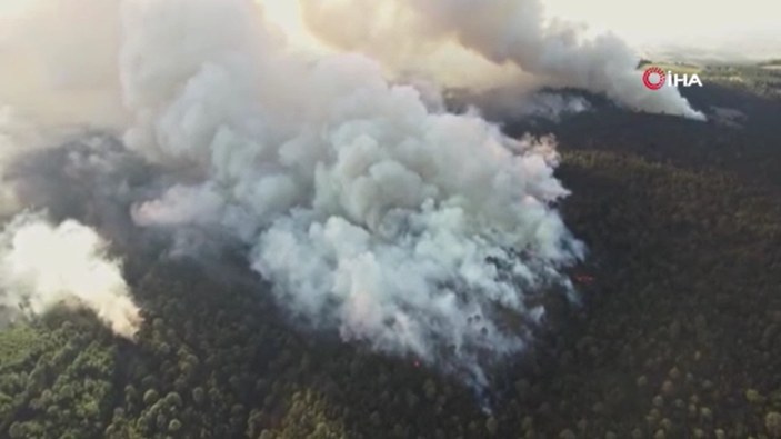 Meksika’da orman yangını: 10 ev tahliye edildi