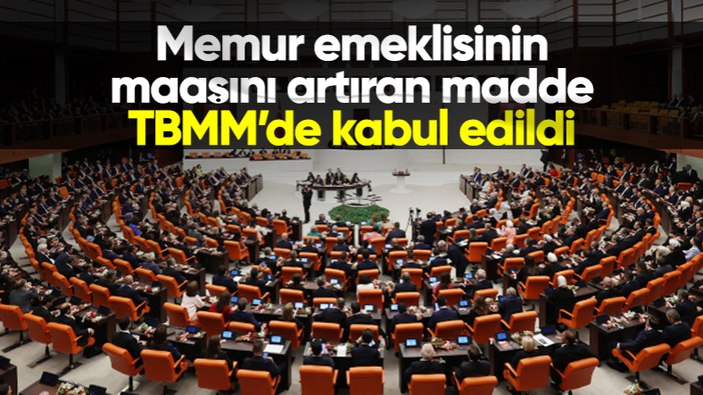 Memur emeklisinin maaşını artıran madde TBMM'de kabul edildi