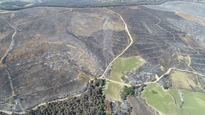 İbrahim Yumaklı: 10 günde 40 ilide 203 orman yangını meydana geldi