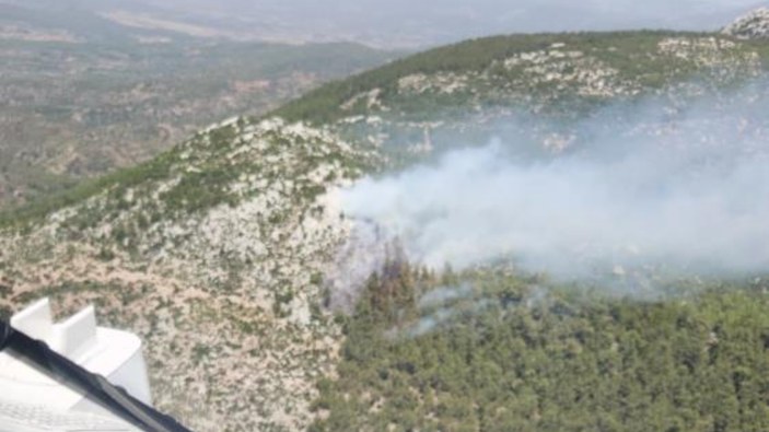 Muğla Milas'ta orman yangını çıktı