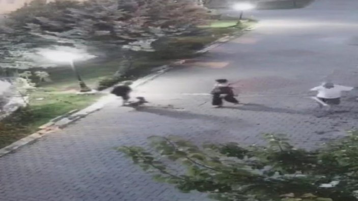 Ankara'da yaşlı kadına köpek saldırdı