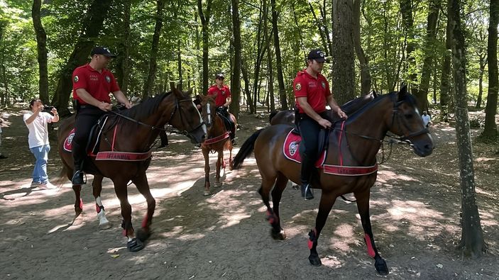 Ekipler harekete geçti! Belgrad Ormanı'na gelenler yangınlara karşı denetlendi