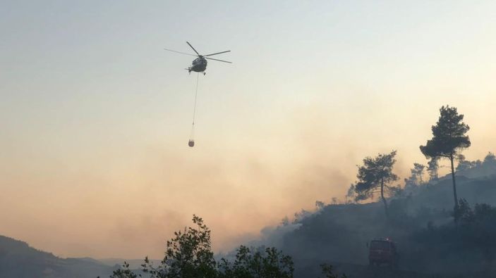 Bilecik'te çıkan orman yangını kontrol altına alındı