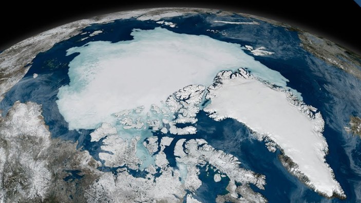 DNA'lar ortaya çıkardı! Buzlarla kaplı Kuzey Kutbu, eskiden nasıl bir yerdi?