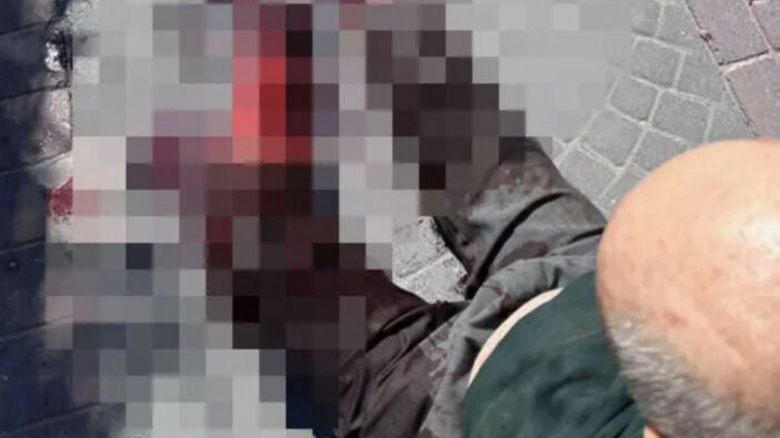 İstanbul'da yaşlı adama saldıran pitbull sahiplerine ceza