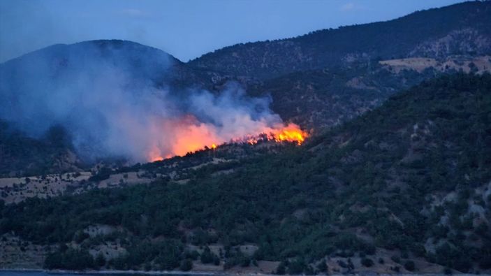 Çorum'da ormanlık alanda yangın çıktı: Müdahale sürüyor