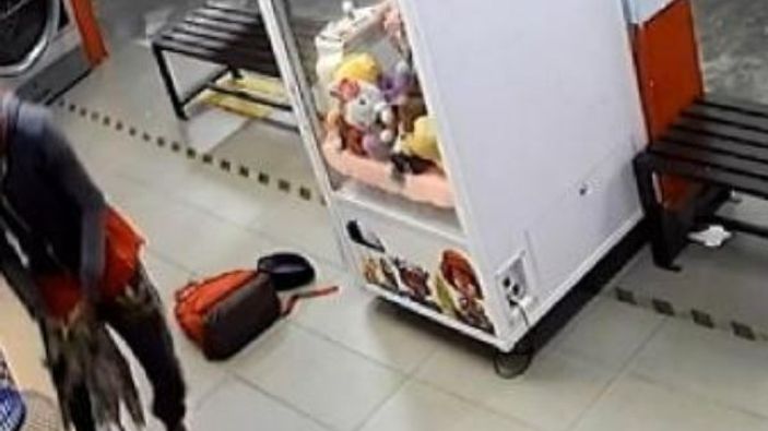 Malezya'da 3 kediyi çamaşır makinesine attı
