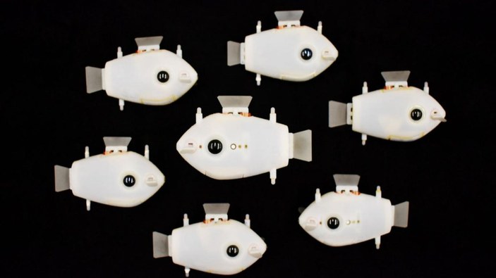 Balık sürüsü gibi senkronize hareket eden robotlar: Blueswarm