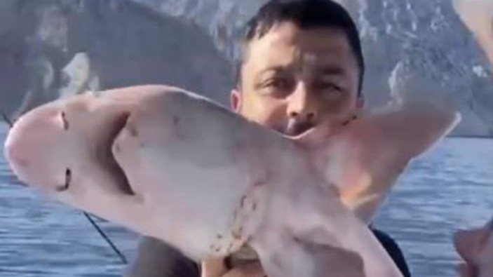 Antalya'da balıkçıların oltasına köpek balığı takıldı