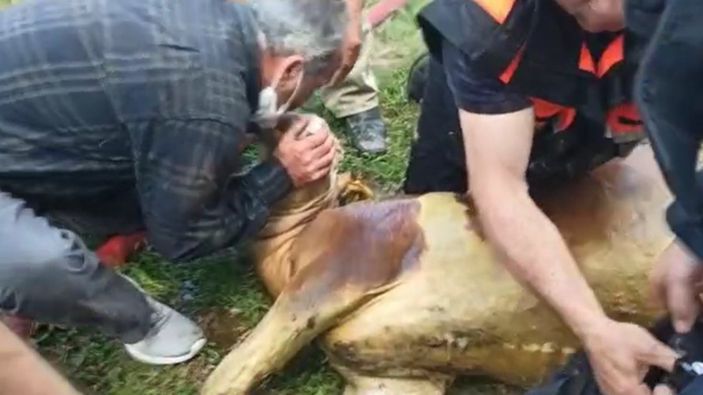 Tokat’ta, dumandan etkilenen danaya itfaiye suni teneffüs yaptı
