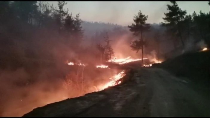 Kahramanmaraş’ta 25 hektar alan yandı