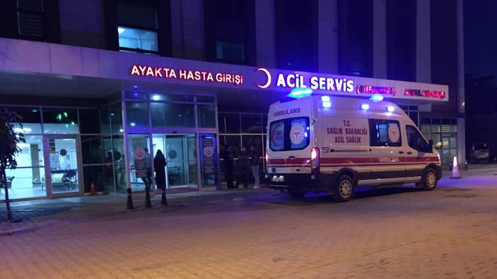 Ankara'da arıların soktuğu adam hayatını kaybetti