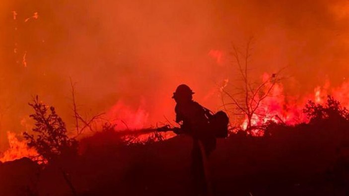 Kaliforniya'da orman yangınıyla mücadele