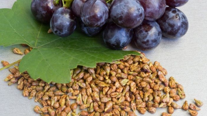 Resveratrol nedir