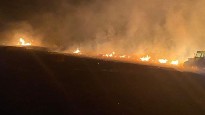 İstanbul'da tarla yangını