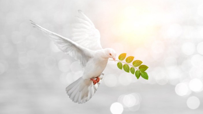 21 Eylül Dünya Barış Günü mesajları: Dünya Barış Günü nedir, neden kutlanır?