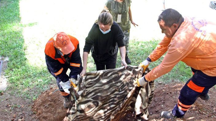 Antalya'da ölen köpeğini gömen vatandaş, ihbar üzerine çılgına döndü