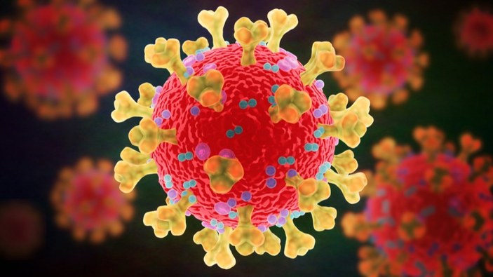 ABD'de araştırma: Koronavirüsün kaynağı muhtemelen Vuhan