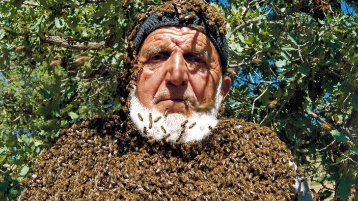 Kayserili Sami Dede, 68 yıldır arılarla yaşıyor