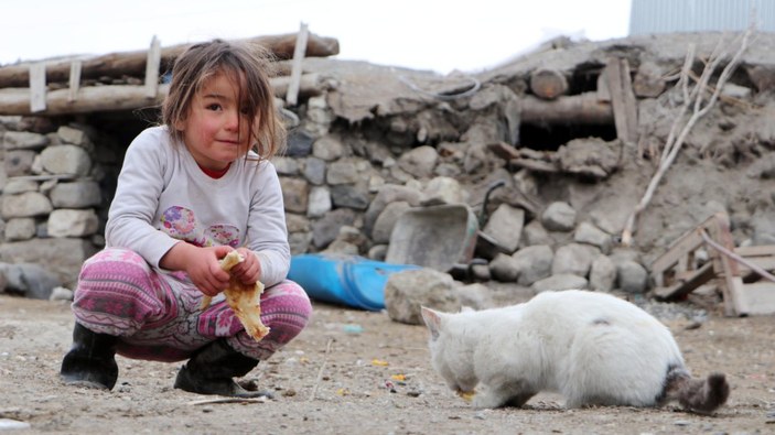 Erzurum'daki depremzede Hira, kedilerini besliyor