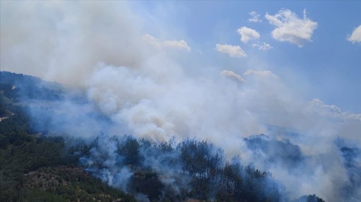 Çanakkale'de çıkan orman yangını kontrol altına alındı