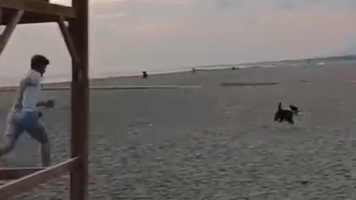 Bursa'da sahilde oturan gencin ayakkabısını köpek kaptı