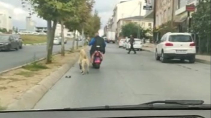 Arnavutköy’de motosikletinin arkasına köpek bağlayan şahıs kamerada