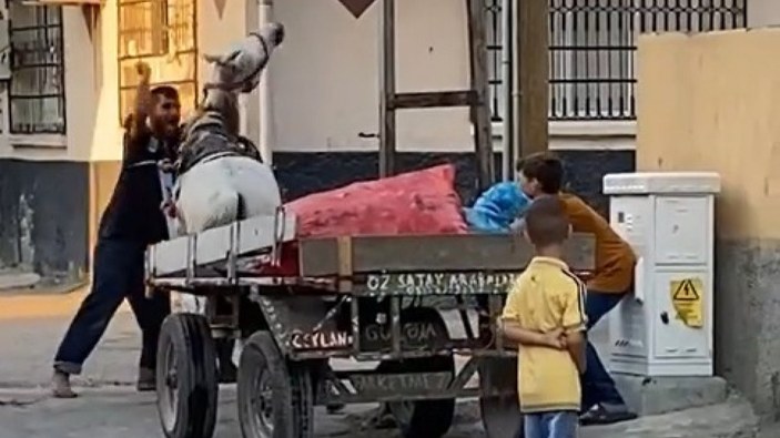 Adana’da atı yumruklayan seyyar satıcı yakalandı