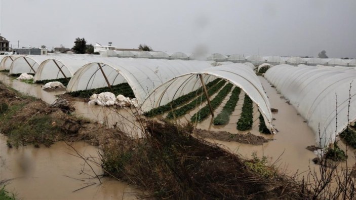 Antalya’da yağmur, çilek tarlalarını vurdu
