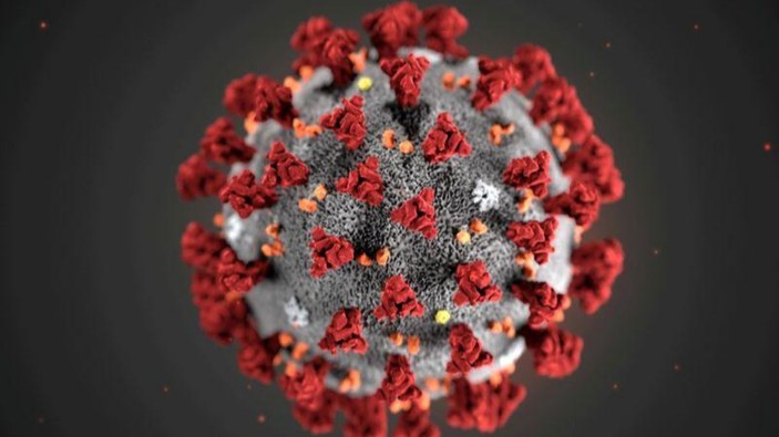Çin'de öneri: Koronavirüs mutasyona uğradığı için yeniden adlandırılsın