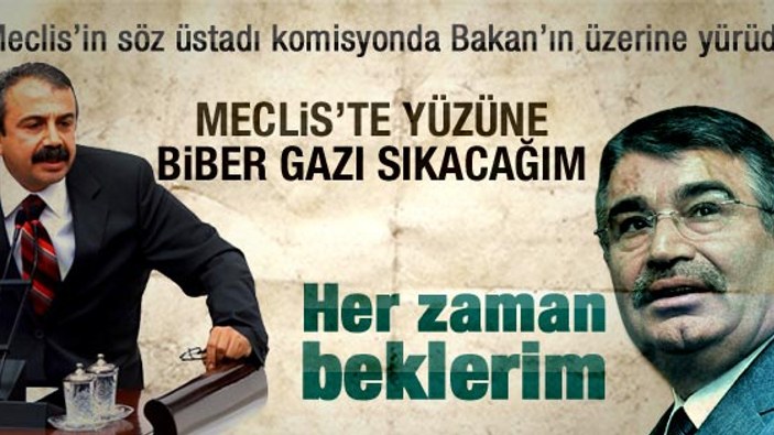 Sırrı Süreyya Önder Bakan Şahin'in üzerine yürüdü
