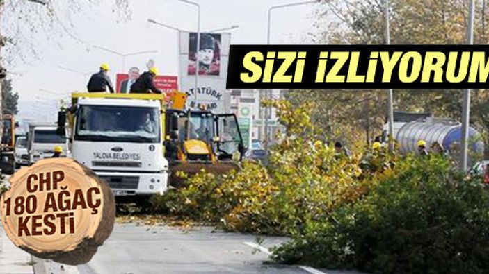 Yalova'da 180 ağaç Atatürk'ün gözleri önünde kesildi