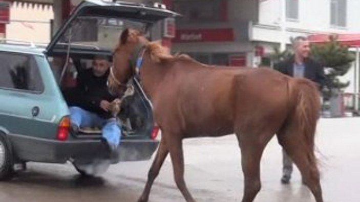 Edirne'de bir kişi atı otomobilin arkasında sürükledi