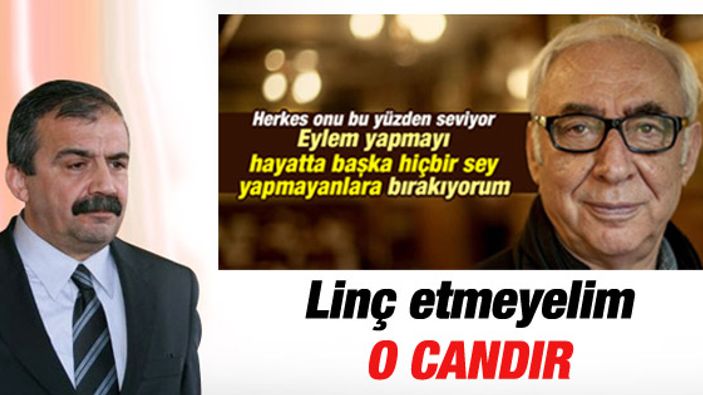 Sırrı Süreyya Önder, Şener Şen'e destek verdi