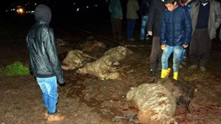 Şanlıufa'da minibüs koyun sürüsüne daldı