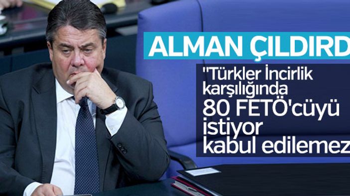 Alman Bakan Türkiye'nin talebini duyunca çıldırdı