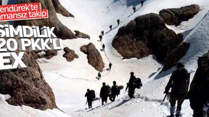 Tendürek Dağı'nda 20 terörist öldürüldü