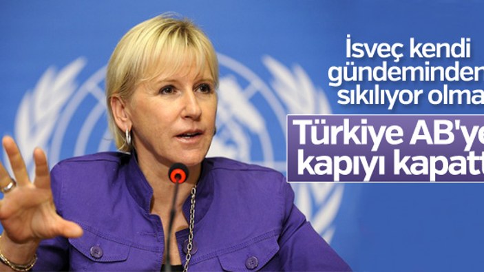 İsveçli bakana göre Türkiye AB'ye kapıyı kapattı