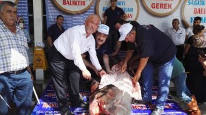 1 tonluk köpek balığı kanser hastalarına dağıtıldı