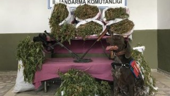 Adana'da 32 kilo esrarı radar buldu