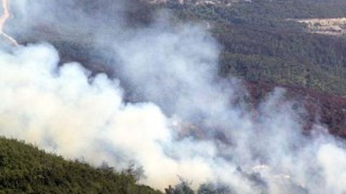 Hatay'ın Yayladağı kırsalına top mermisi düştü