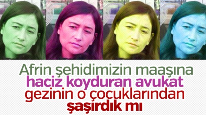 Şehit emanetine haciz isteyen avukatın Gezi paylaşımları