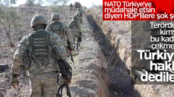 NATO: Türkiye güvenlik endişelerini çözme hakkına sahip